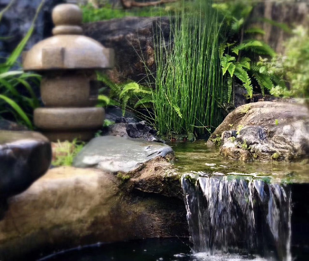 与水絮语：武汉别墅花园水景营造的园林艺术呈现