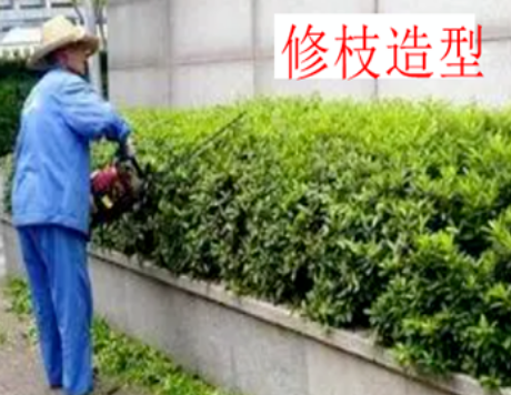 1660493439188810.png image.png
