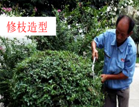 1660493469114885.png image.png