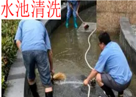 1660493504127527.png image.png