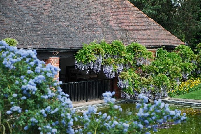 花园百科全书——威斯利花园 Wisley Garden